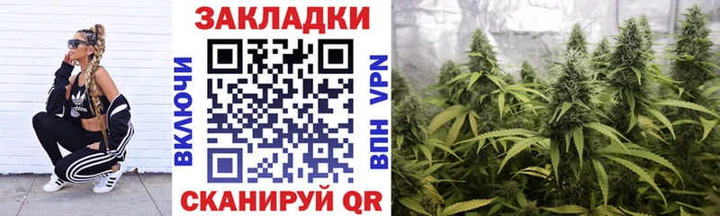 Магазин наркотиков Асино МЕТАДОН  Cocaine  Амфетамин  A-PVP  Марихуана  Меф  ГАШ 