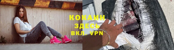 гашик Алексин