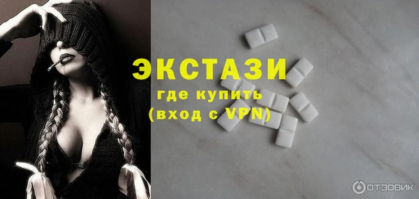 гашик Алексин