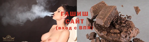 гашик Алексин