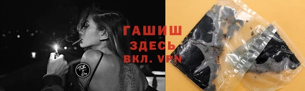 гашик Алексин