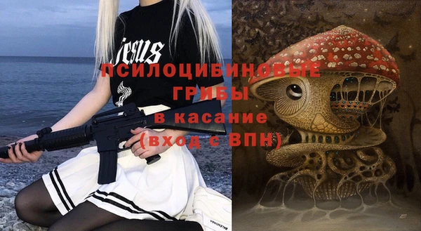 гашик Алексин