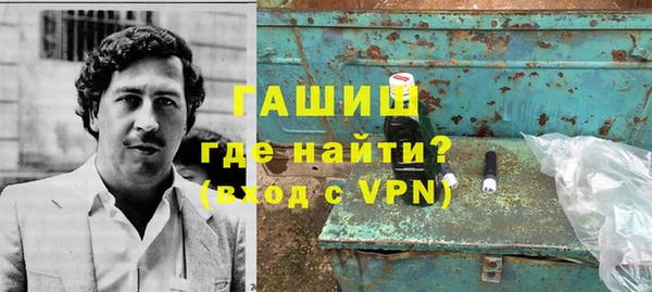 гашик Алексин